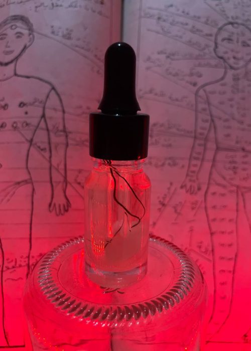 photo_2025-09-26_09-27-21